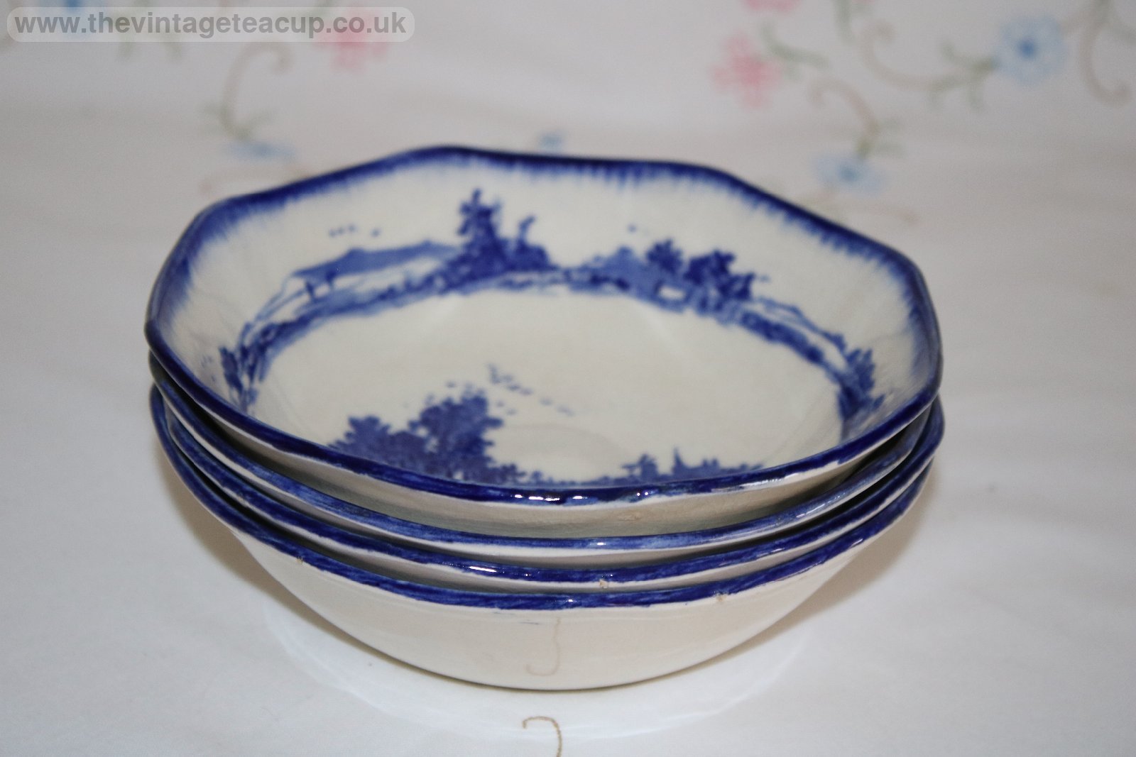 Royal Doulton Norfolk Set Cereal Bowls