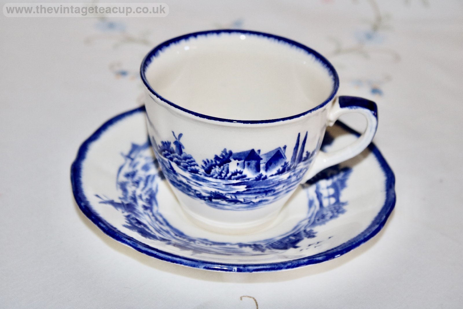 Royal Doulton Norfolk Tea Cup & Saucer Blue White China