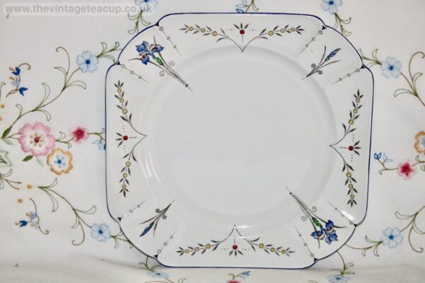 Shelley Queen Anne / Blue Iris Dinner Plate 11561